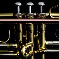 Trompet i Bb John Packer JP051